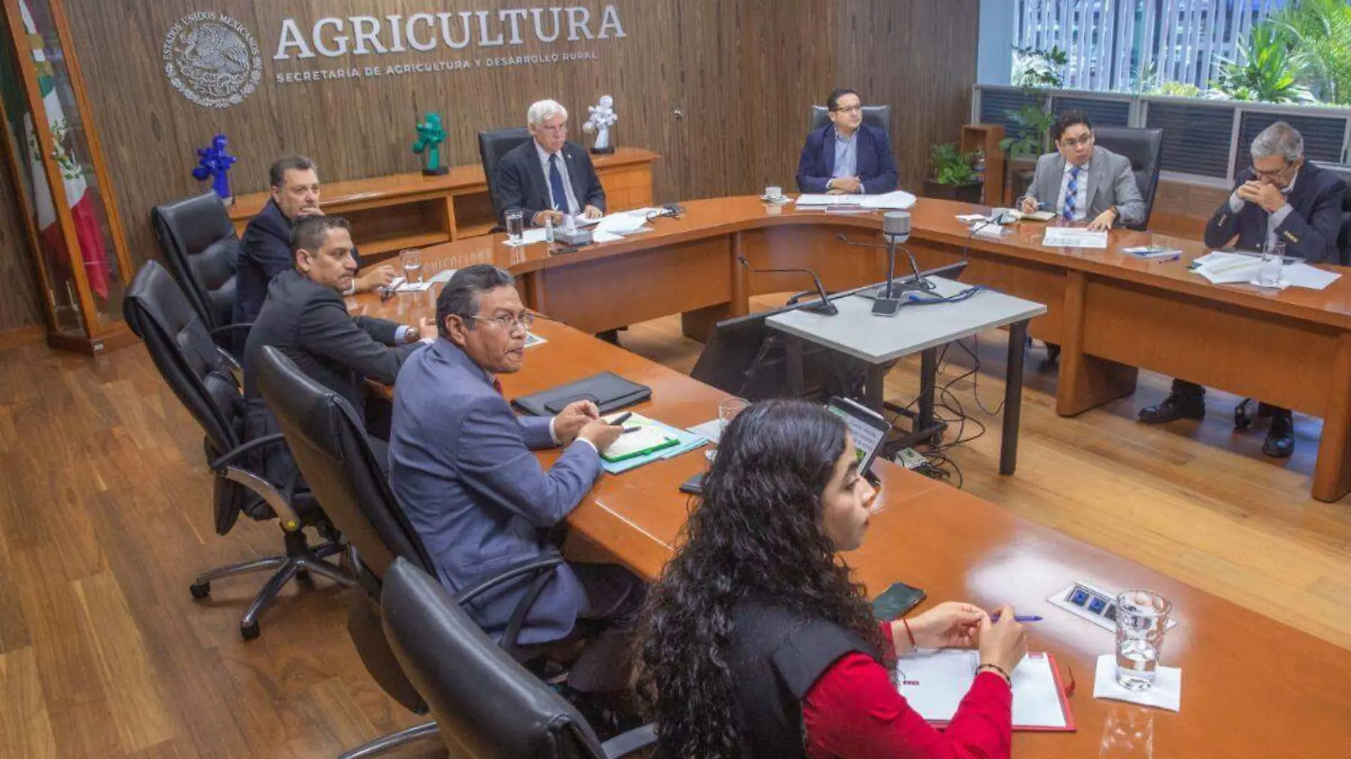 Sader Alerta sobre amenaza a la producción de cítricos